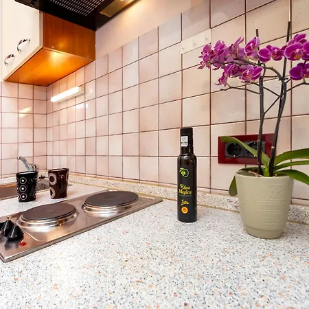 Olea Magica Apartment Rovinj